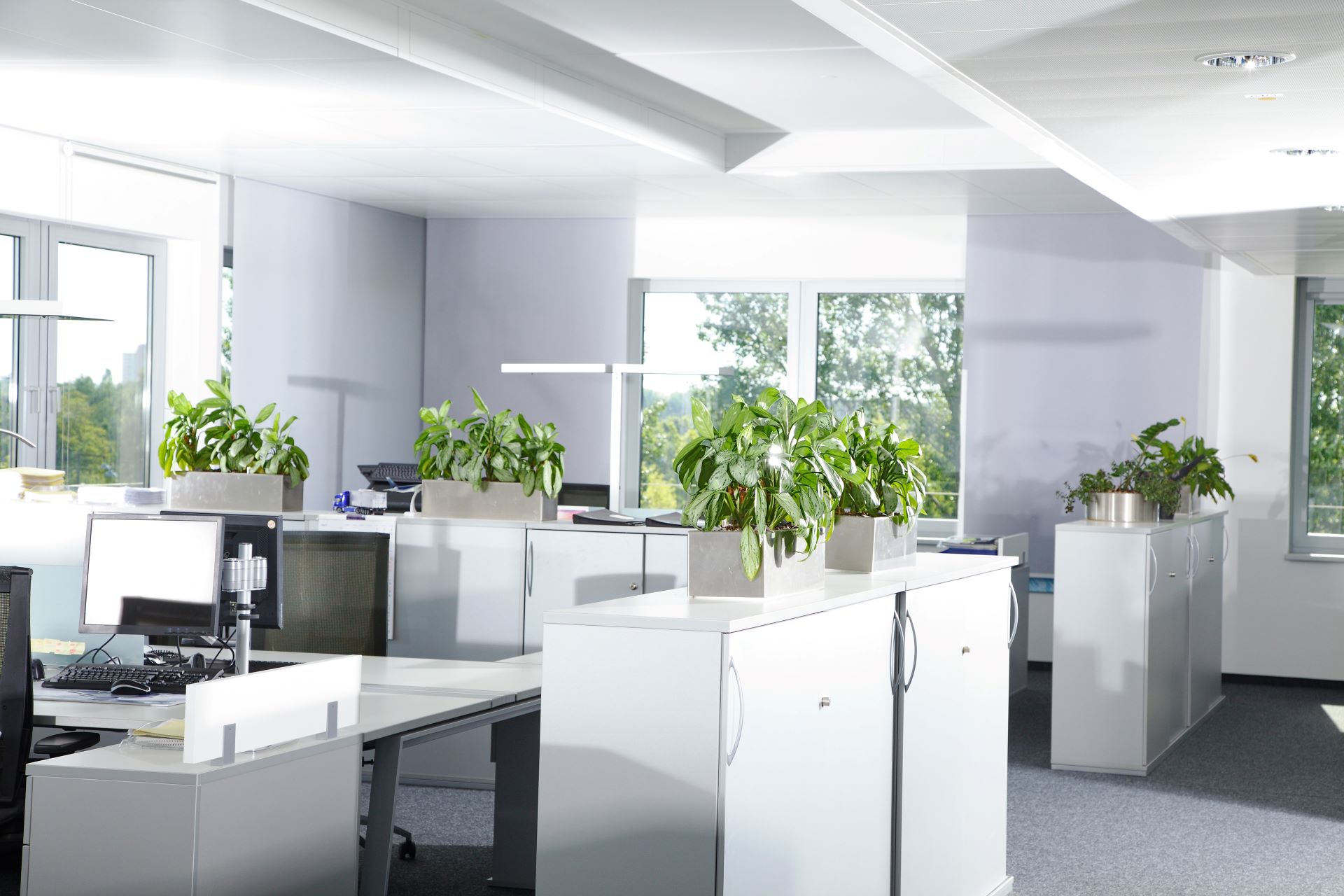 Resume Writing Services Epuni NZ